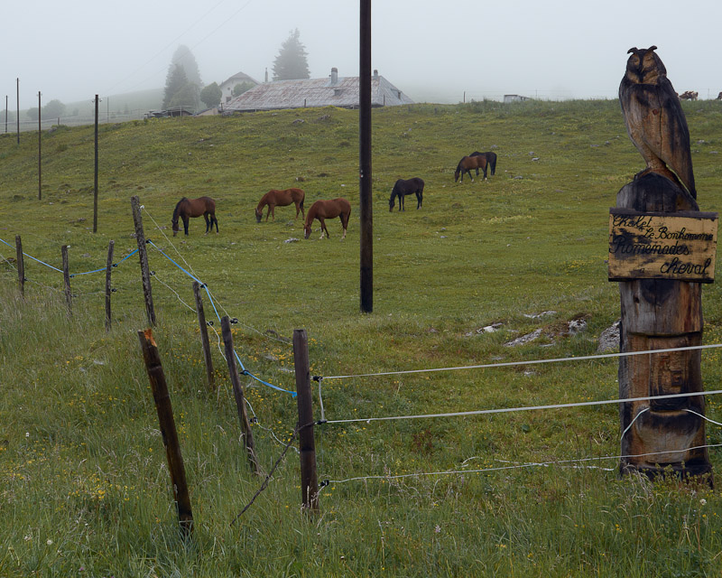 33 Horizons #01, Customs road, French border