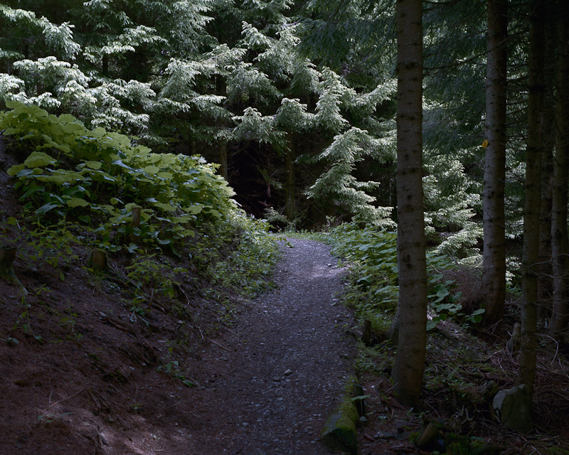 33 Horizons #19, Hiking track, Col de Cou, French border